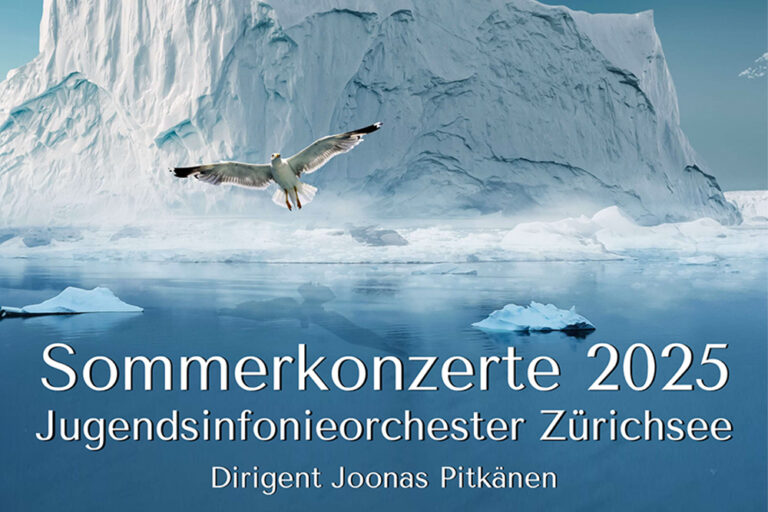 Mehr über den Artikel erfahren Sommerkonzerte 2025